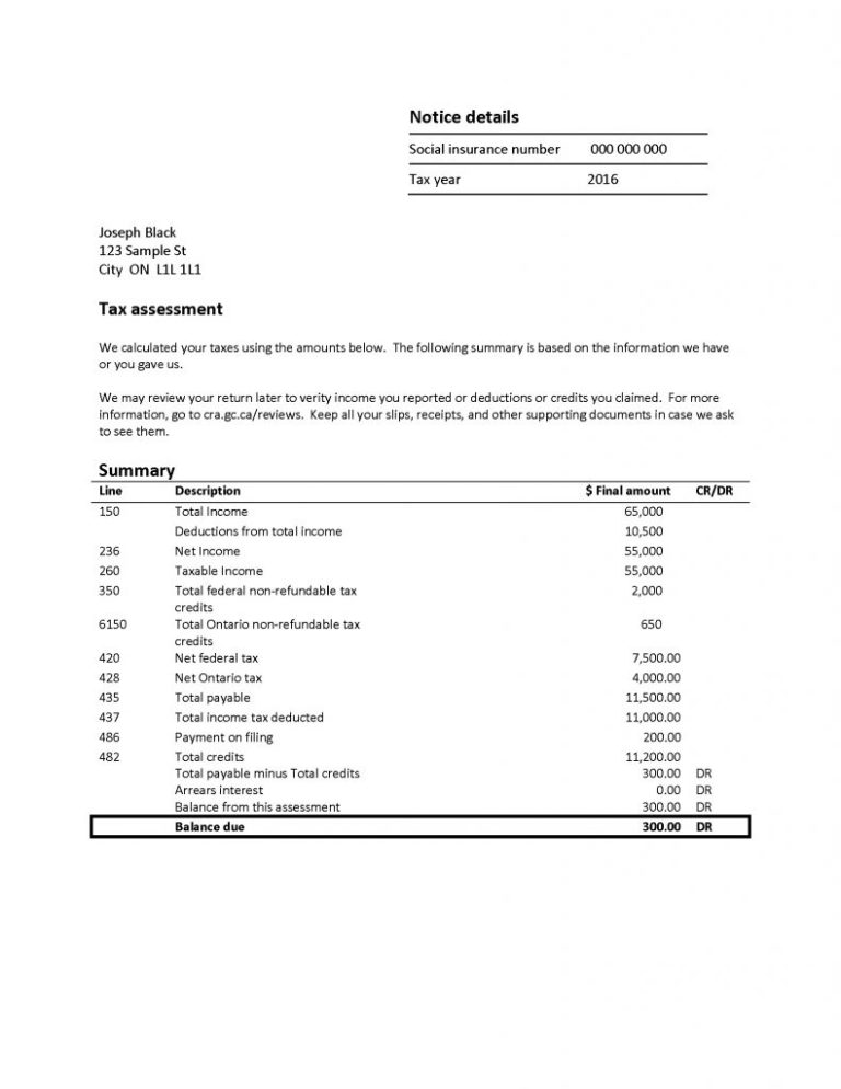 what is notice of assessment example